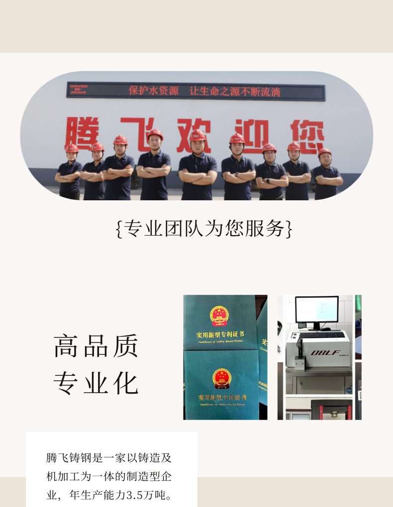 騰飛鑄鋼
